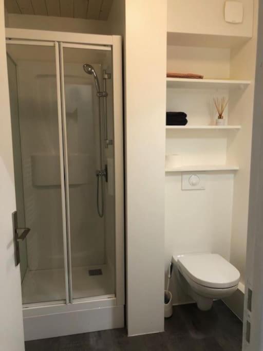 Studio Au Coeur D'Evian Les Bains Eksteriør billede